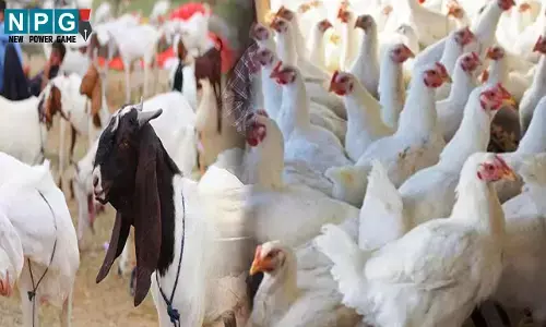 Mutton shops closed in Raipur: रायपुर में मांस मटन दुकान बंद, 31 मार्च को इस वजह से नहीं खुलेगी दुकानें, ब्रिकी करते पाए गए तो होगी कड़ी कार्रवाई...