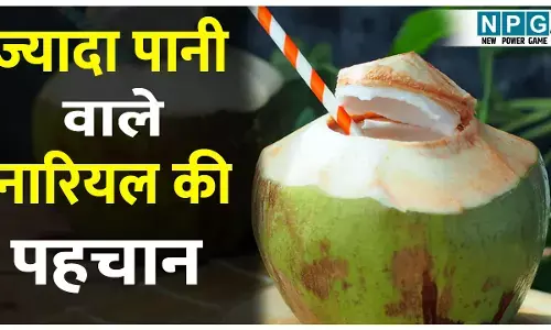 गर्मी में नारियल पानी खरीदते समय न करें ये गलती, जानिए कैसे पहचानें ज्यादा पानी वाला नारियल
