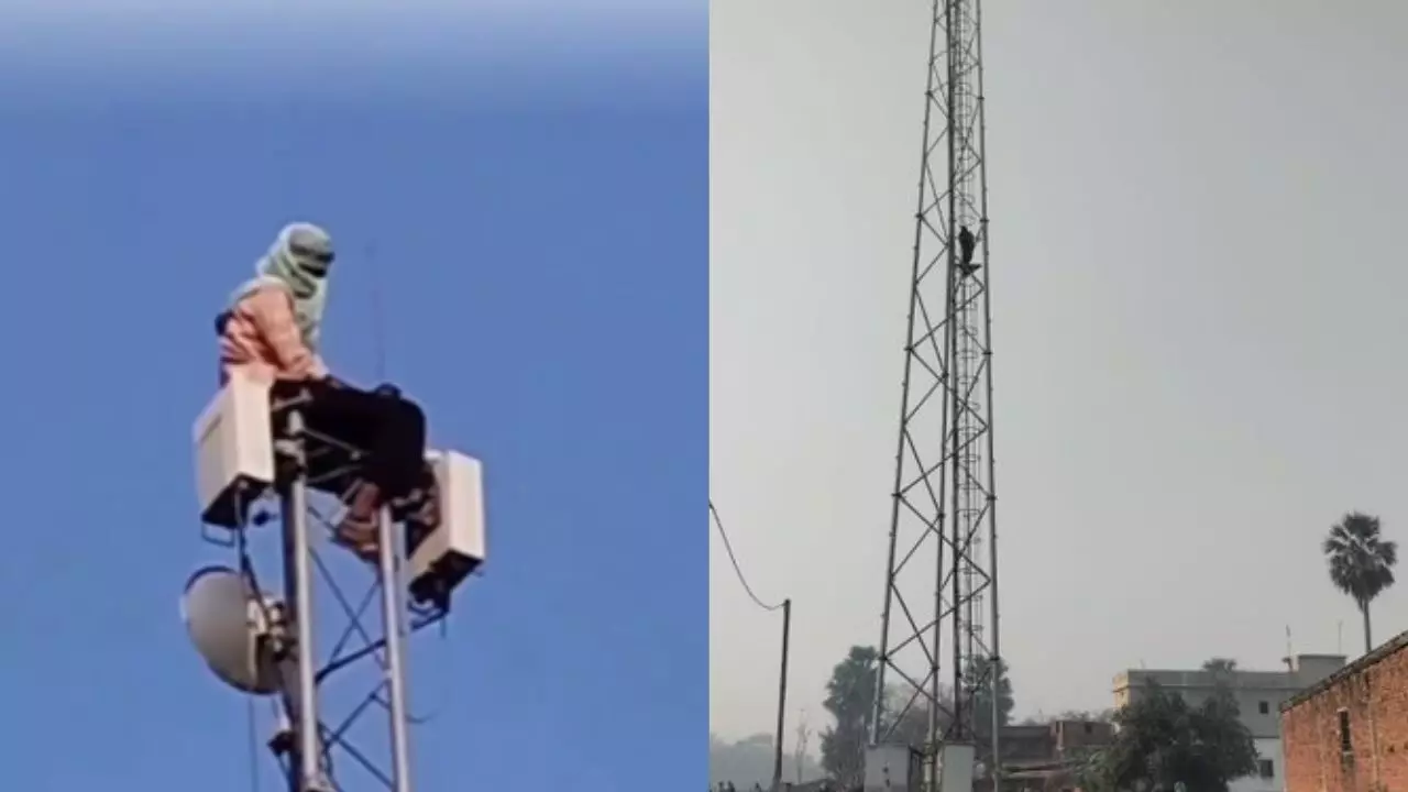 ब्वॉयफ्रेंड शादी से मुकरा तो प्रेमिका चढ़ गई मोबाइल टावर पर, घंटों चला हाई वोल्टेज ड्रामा