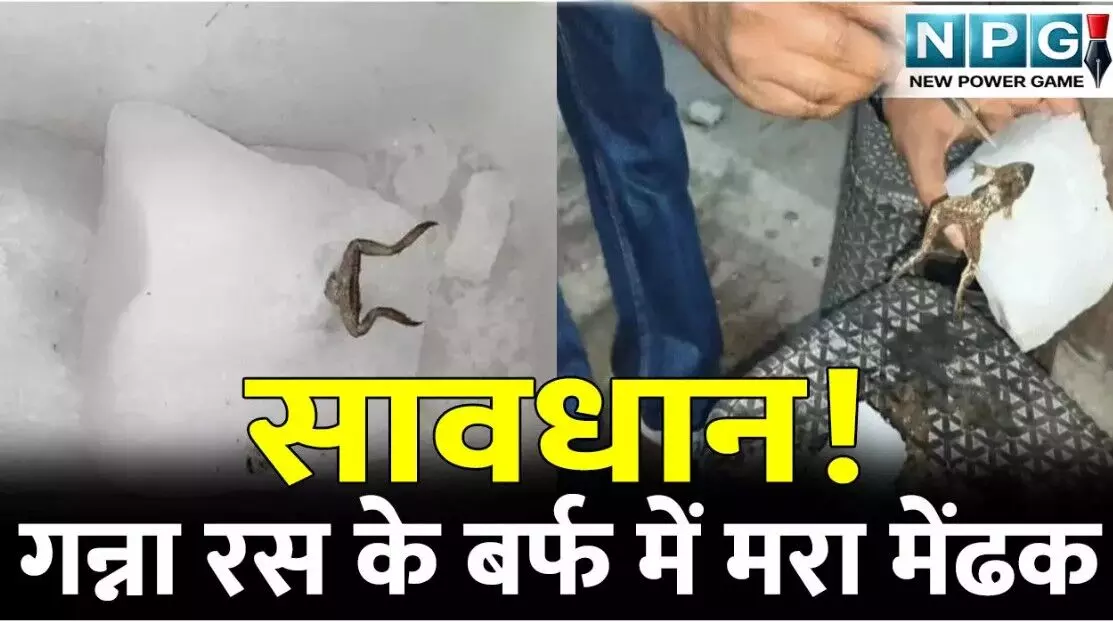 सावधान! गन्ना रस के बर्फ में मिला मरा मेंढक, बर्फ... ... CG Top News Today: छत्तीसगढ़ की हर बड़ी खबर एक क्लिक में, एक ही जगह पढ़ें राज्यभर की टॉप अपडेट सावधान! गन्ना रस के बर्फ में मिला मरा मेंढक, बर्फ... ... CG Top News Today: छत्तीसगढ़ की हर बड़ी खबर एक क्लिक में, एक ही जगह पढ़ें राज्यभर की टॉप अपडेट