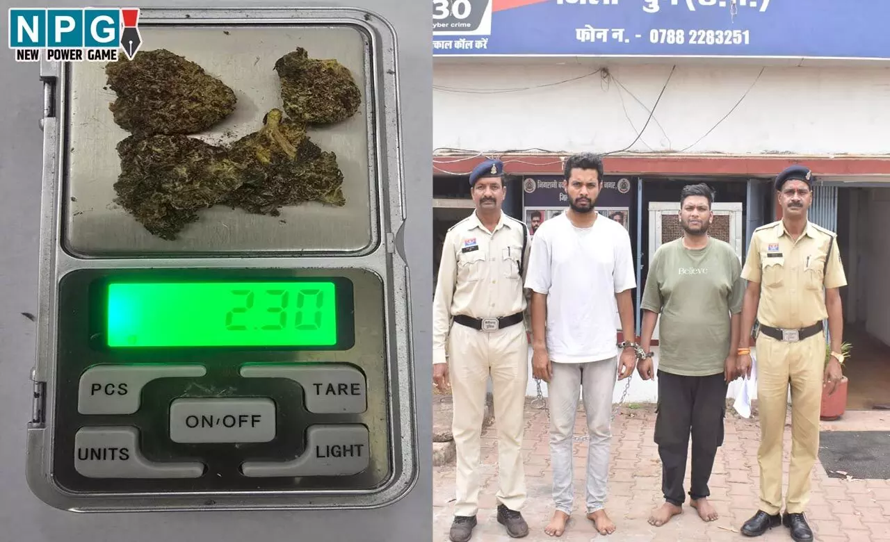 CG Hydroponic Weed: पहली बार समुद्री गांजा पकड़ाया, दिखने में ब्रोकली सब्जी की तरह, एक किलो की कीमत है 1 करोड़, जानिए आम गांजा से कितना है अलग...