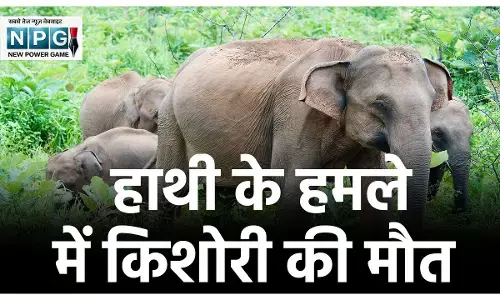 Balrampur Elephant Attack