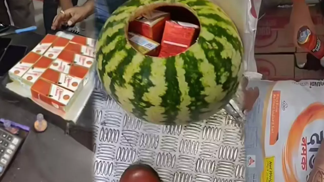 शराब तस्करी का अजीबोगरीब तरीका...तरबूज में छिपाकर लाई जा रही थी शराब, बिहार पुलिस ने किया ऐसे खुलासा शराब तस्करी का अजीबोगरीब तरीका...तरबूज में छिपाकर लाई जा रही थी शराब, बिहार पुलिस ने किया ऐसे खुलासा