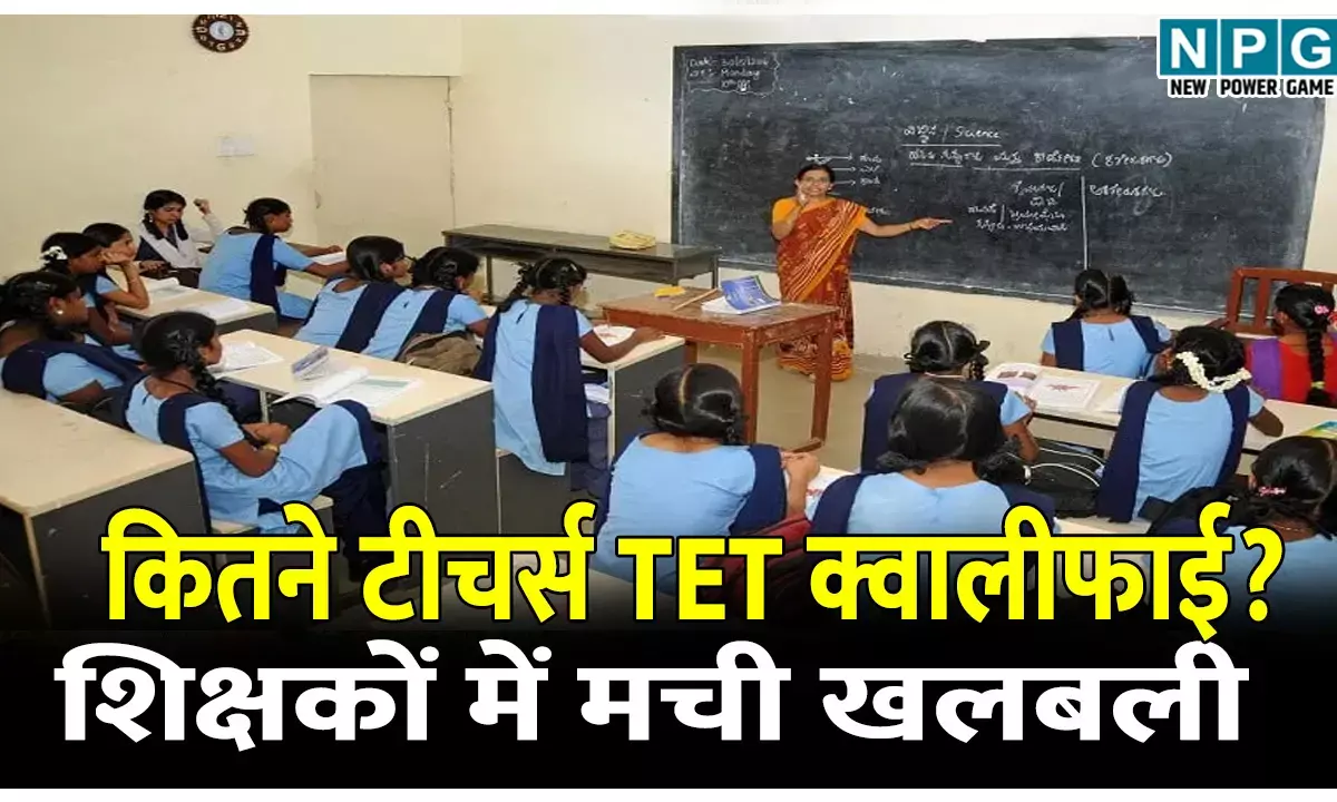टेट परीक्षा ब्रेकिंग: शिक्षा विभाग ने पूछा, कितने टीचर्स हैं TET क्वालीफाई? शिक्षकों में मची खलबली