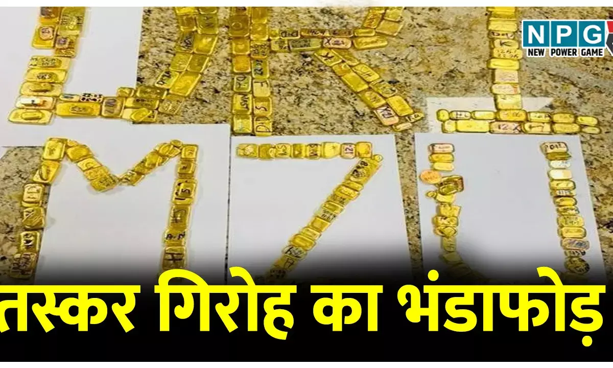 24 विदेशी महिला तस्करों से मिला 37 करोड़ से अधिक का सोना, बड़े तस्कर गिरोह का भंडाफोड़