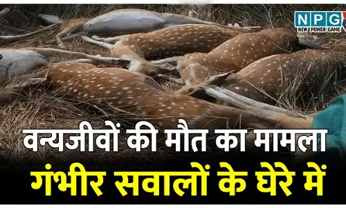 ये CG का वन विभाग है, यहां RTI में इस तरह की नहीं देते जानकारी, विधानसभा में दी गई जानकारी को आरटीआई में मांगी तब सूचना अधिकारी ने बता दिया गोपनीय