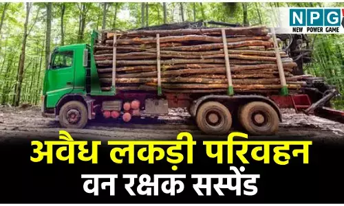 अवैध लकड़ी परिवहन मामले में बड़ी कार्रवाई, DFO ने वन रक्षक को किया सस्पेंड