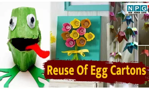 मत फेंकिये अंडे की खाली ट्रे, ये ज़बरदस्त रीयूज़ आइडियाज़ देखकर आप चौंक जाएंगे, फौरन पुराना बचा ढूंढेंगे