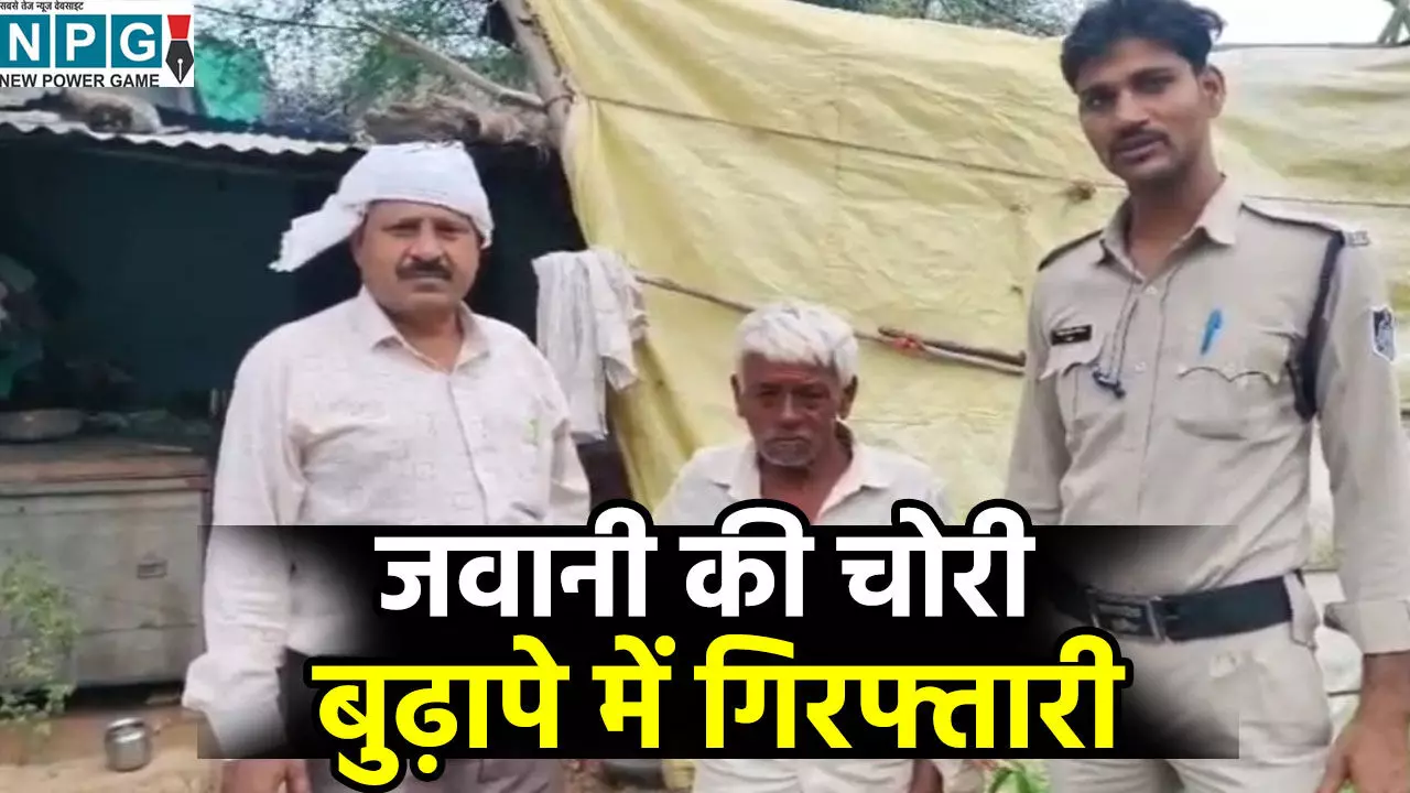 जवानी की चोरी, बुढ़ापे में गिरफ्तारी: खेत में घास काट रहा था 36 साल पुराना वांटेड, किसान के भेष में पहुंची पुलिस ने किया गिरफ्तार जवानी की चोरी, बुढ़ापे में गिरफ्तारी: खेत में घास काट रहा था 36 साल पुराना वांटेड, किसान के भेष में पहुंची पुलिस ने किया गिरफ्तार