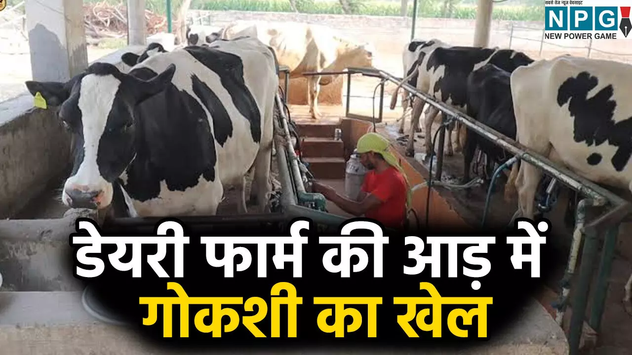 डेयरी फार्म की आड़ में चल रहा था गोकशी का खेल: हिंदू संगठनों ने किया हंगामा, इलाके में मचा हड़कंप डेयरी फार्म की आड़ में चल रहा था गोकशी का खेल: हिंदू संगठनों ने किया हंगामा, इलाके में मचा हड़कंप