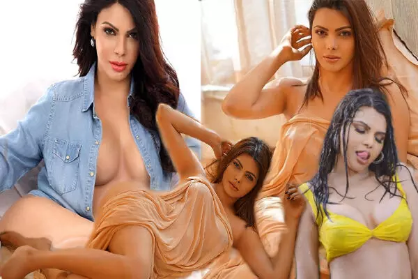 पोर्न वीडियो केस: एक्ट्रेस शर्लिन चोपड़ा को पोर्नोग्राफी केस में गिरफ्तारी का डर,खटखटाया मुंबई सेशन कोर्ट का दरवाजा पोर्न वीडियो केस: एक्ट्रेस शर्लिन चोपड़ा को पोर्नोग्राफी केस में गिरफ्तारी का डर,खटखटाया मुंबई सेशन कोर्ट का दरवाजा