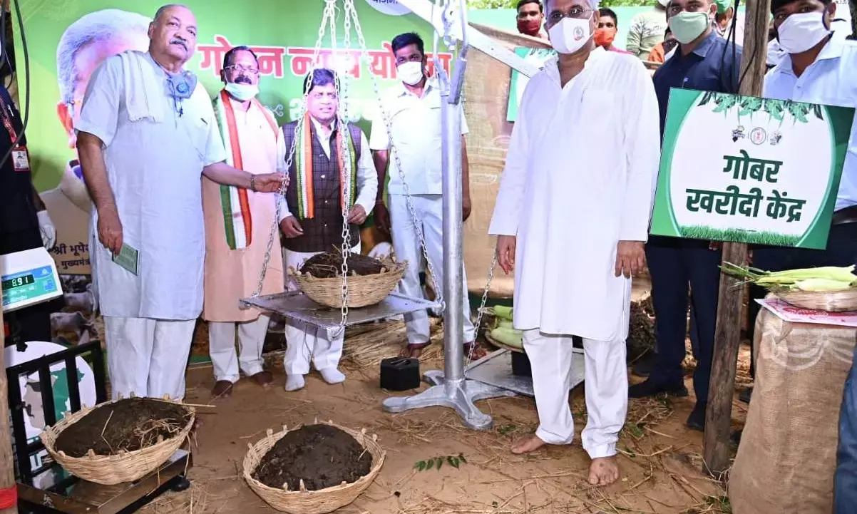 लोकसभा में कृषि मामलों की स्थायी समिति ने छत्तीसगढ़ की गोधन न्याय योजना की सराहना की……..केंद्र सरकार को दिया सुझाव- गोधन न्याय जैसी योजना पूरे देश के लिए बनाएं