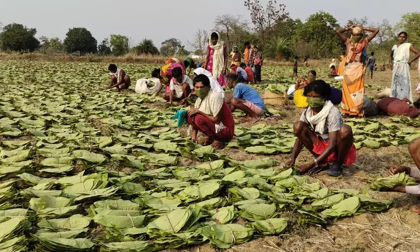 NPG विशेष: सुरक्षा-बलों के कैंपों ने नक्सलियों को पीछे धकेल बस्तर में बहाल किया लोकतंत्र…दुर्गम क्षेत्रों तक पहुंच रही विकास की किरण
