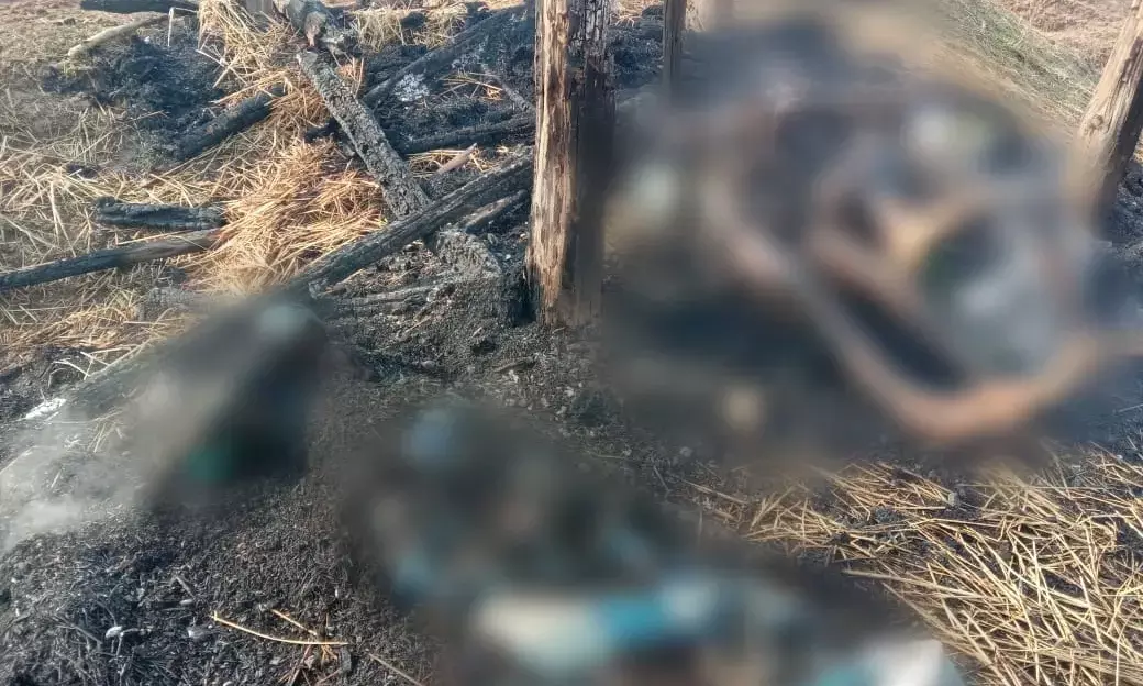 जशपुर में आकाशीय बिजली गिरने से तीन ग्रामीणों की मौत.. मरने वालों में दो सगे भाई शामिल