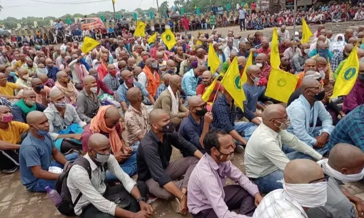 संविदा बिजली कर्मचारियों ने सामूहिक मुंडन कराकर जताया विरोध, बोले- मांगें पूरी नहीं हुई तो कल से करेंगे भूख हड़ताल 