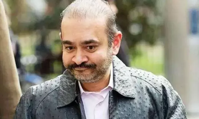 नीरव मोदी की बहन पति के साथ बनी सरकारी गवाह.. भारत सरकार को भेजे 17.25 करोड़ रुपये