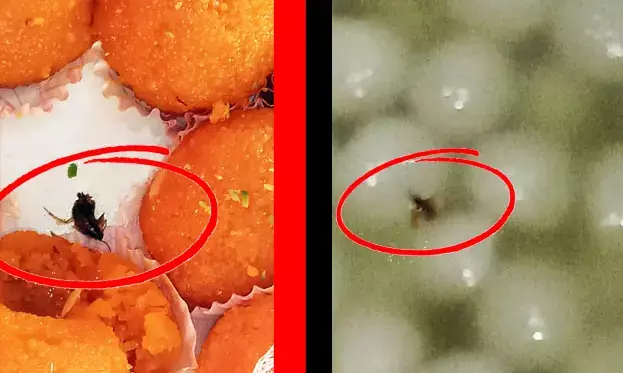 लड्डू में चीटा…रसगुल्ला में कीड़ा….न्यू दिल्ली स्वीट्स पर लगा बड़ा जुर्माना…. निगम की छापेमारी में गंदगी ही गंदगी