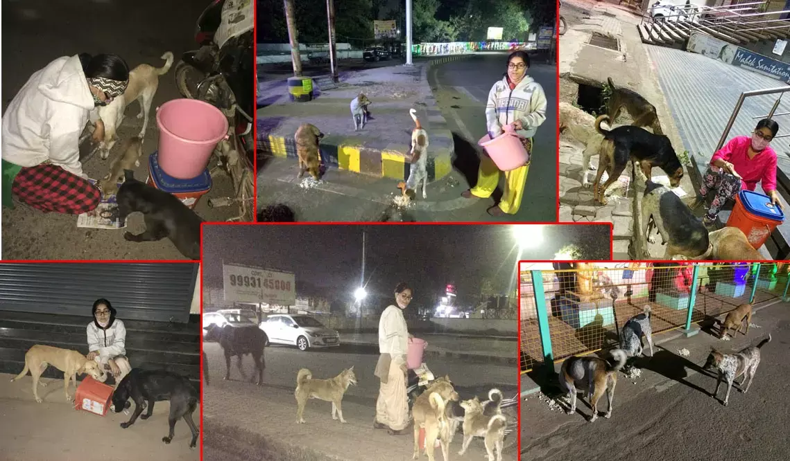 मिसाल : लॉकडाउन में बेजुबानों के लिए फरिश्ता है चरणजीत का परिवार……पिछले एक साल से हर दिन सैकड़ों स्ट्रीट डॉग्स व बेजुबानों को खाना बनाकर बांटता है ये परिवार…..कईयों के लिए बन चुका है आईडल मिसाल : लॉकडाउन में बेजुबानों के लिए फरिश्ता है चरणजीत का परिवार……पिछले एक साल से हर दिन सैकड़ों स्ट्रीट डॉग्स व बेजुबानों को खाना बनाकर बांटता है ये परिवार…..कईयों के लिए बन चुका है आईडल