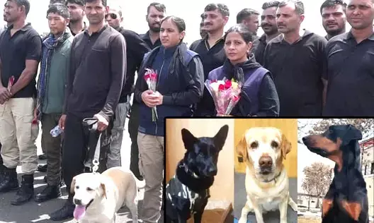 CG : अफगानिस्तान से लौटे “3 स्पेशल कमांडों” छत्तीसगढ़ में होंगे तैनात….. जानिये कौन है, अफगान दूतावास में पोस्टेड रहे रूबी, माया और बॉबी, जो अब छत्तीसगढ़ में होंगे तैनात …