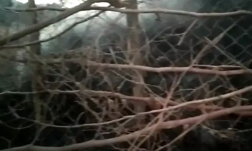 बाड़ी के कचरे को जलाती वृद्धा खुद आई आग की चपेट में…पुआल के ढेर के साथ ज़िंदा जली… मौत