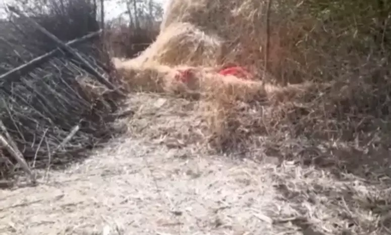 प्रेमी युगल की हत्या: खेत में पैरा से ढकी मिली लड़की और युवक की निर्वस्त्र लाश.. दोहरे हत्याकांड की जाँच में जुटी पुलिस