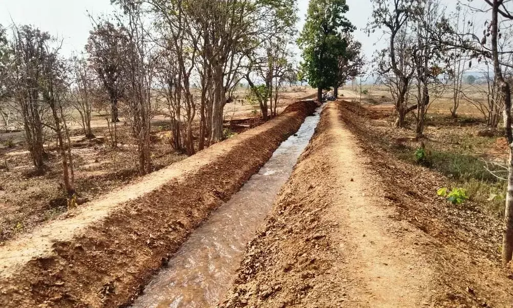 नहर से किसानों के चेहरों पर आई मुस्कुराहट : 80 किसानों के खेतों तक महीडबरा जलाशय का पानी पहुंचा, 75 हेक्टेयर रकबे में सिंचाई सुविधा का विस्तार…नहर के लिए किसानों ने स्वेच्छा से दीं अपनी जमीन