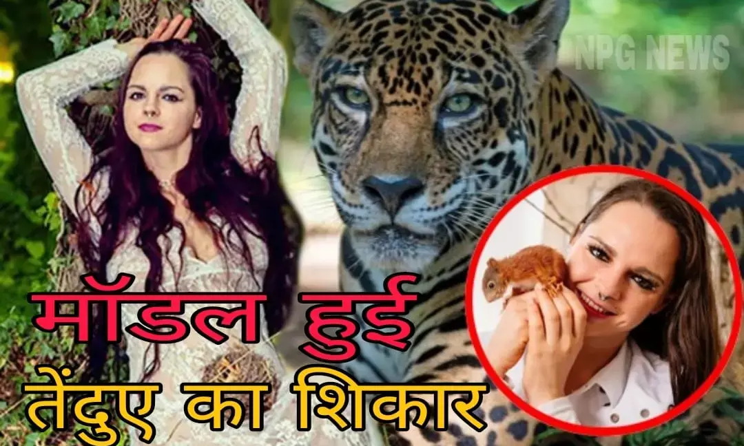 मॉडल को फोटोशूट कराना पड़ गया महंगा…. पीछे से आए तेंदुए ने चबा डाली कान और गाल, अस्पताल में कराया गया भर्ती