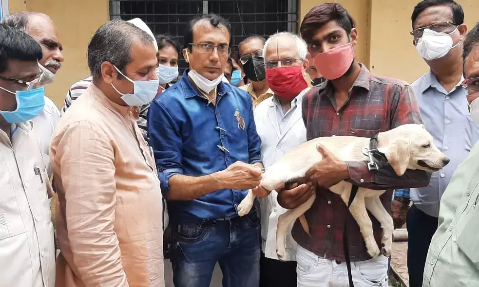 5 हजार कुत्तों को लगेगा रेबीज का टीका…  नगर विधायक ने रेबीज नियंत्रण अभियान की शुरुआत की