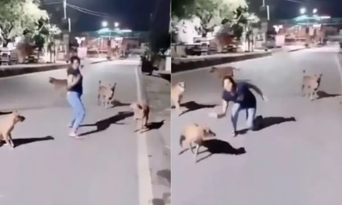 देखें मजेदार VIDEO- इस लड़की ने कुत्तों के साथ लगाए ठुमके, IPS ने ट्वीट कर लिखा- बसंती इन कुत्तों के सामने…