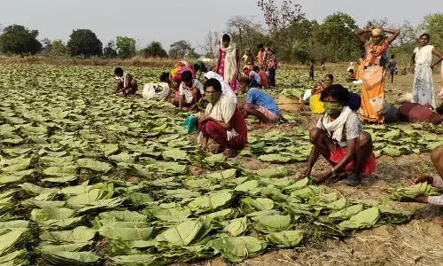NPG विशेष: सुरक्षा-बलों के कैंपों ने नक्सलियों को पीछे धकेल बस्तर में बहाल किया लोकतंत्र…दुर्गम क्षेत्रों तक पहुंच रही विकास की किरण