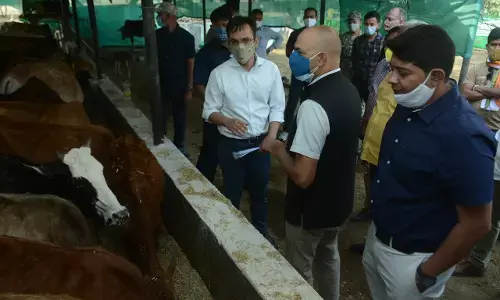 स्वीडन दूतावास के उप मिशन प्रमुख  गौतम भट्टाचार्य ने छत्तीसगढ़ सरकार की योजनाओं को सराहा