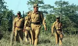 12वीं पास के लिए सुनेहरा मौका…फॉरेस्ट गार्ड के 311 पदों पर भर्ती…19 अगस्त तक ऑनलाइन आवेदन…