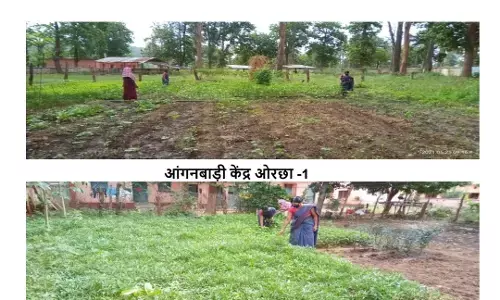 अबुझमाढ़ की आंगनबाड़ियों में लिखी जा रही सफलता की नई इबारतः माताओं के सहयोग से तैयार हुई पोषण वाटिकाएं, बच्चों के पोषण स्तर में हो रहा है तेजी से सुधार, महिलाओं में खून की कमी भी हो रही है दूर