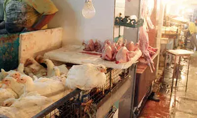 दुकानें बंद: सितंबर में 6 दिन मांस-मटन की दुकानें रहेंगी बंद… जारी हुआ आदेश, देखें