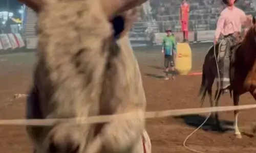 जब दर्शकों की तरफ दौड़ा सांड, खेल छोड़कर भागे दर्शक… मची भगदड़ और फिर हुआ…