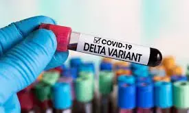 देश में आया कोरोना का नया वायरस डेल्टा प्लस वैरिएंट…..महाराष्ट्र, मध्य प्रदेश में केस आए सामने….प्रदेश के कई इलाके कंटेनमेंट जोन घोषित…