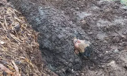 सरगुजा और कोरिया में गाज गिरने के मामले.. पाँच मवेशी समेत दो ग्रामीणों की मौत.. आठ घायल