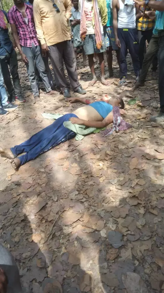 हाथियों का आतंक: युवक को फुटबाल की तरह पटक-पटक कर मार डाला…ग्रामीणों में दशहत…