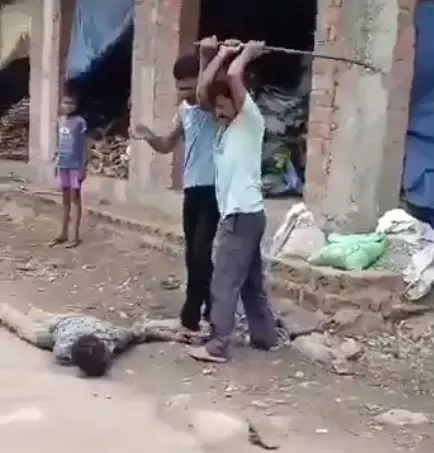जीजा को साले ने बेदम पीटा, बहन से विवाद करने पर साले ने सरेराह जीजा को लोहे के राॅड से पीटा… बीजेपी के पूर्व मंत्री ने फेसबुक पर लिखा… कहां है पुलिस का खौफ?