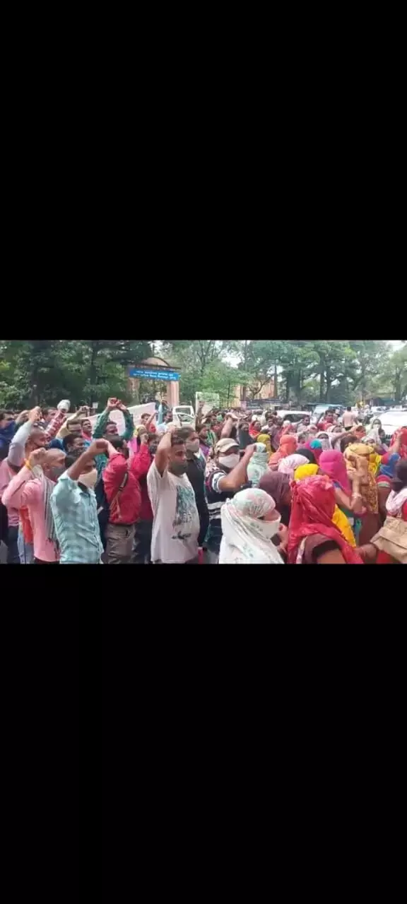 सेंट्रल यूनिवर्सिटी से पगार नहीं मिलने पर कलेक्ट्रेट पहुंचे 300 कर्मचारी, बोले…पैसे न मिलने से भूखे मरने की नौबत