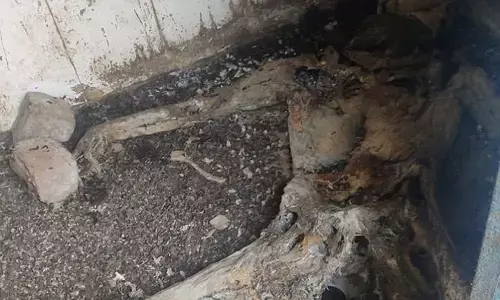 स्कूल के टाॅयलेट में मिला महिला का कंकाल….मौके पर पुलिस, जांच जारी….