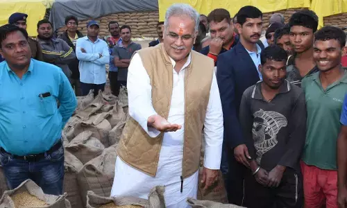 छत्तीसगढ़ में पंजीकृत किसानों में से रिकार्ड 95.38 प्रतिशत किसानों ने समर्थन मूल्य पर बेचा धान, इस वर्ष 92 लाख मीट्रिक टन से अधिक धान का उपार्जन: 20 वर्षाें में सबसे ज्यादा हुई धान खरीदी