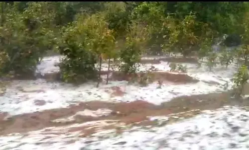 VIDEO:छत्तीसगढ़ के इस इलाक़े में ज़बर्दस्त बर्फ़बारी.. बर्फ़ से बिछी चादर.. ठंड लौटी .. देखिए खूबसूरत नजारा