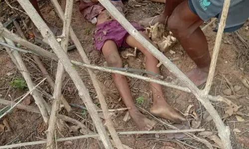 तेंदुए ने बच्चे को मार डाला: मां- बाप के साथ लकड़ी लाने गए बच्चे पर तेंदुए ने किया हमला, हुई मौत….