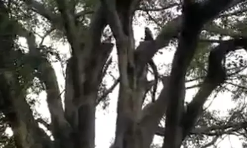 मानसिक रुप से परेशान युवक ने फाँसी लगाई.. बचाने की हर कोशिश समझाईश नाकाम..लोगों ने बनाया वीडियो