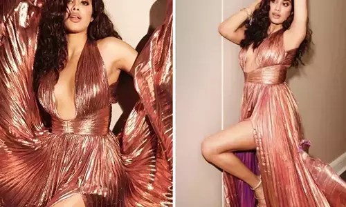 जाह्नवी कपूर को Kiss करना चाहता था फैन,…..अभिनेत्री ने ऐसे दिया सीधा जवाब……