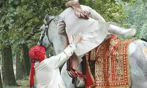 दूल्हे को लेकर भागी घोड़ी: बाराती कार-बाइक लेकर 4 किलोमीटर तक दौड़ते रहे पीछे….