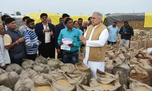 छत्तीसगढ़ में पंजीकृत किसानों में से रिकार्ड 95.38 प्रतिशत किसानों ने समर्थन मूल्य पर बेचा धान….