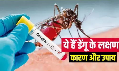 छत्तीसगढ़ में अब डेंगू का कहर : राजधानी में एक ही दिन में आये 22 नये मरीज, कुल मरीजों का आंकड़ा 200 के करीब…. स्वास्थ्य विभाग में हड़कंप
