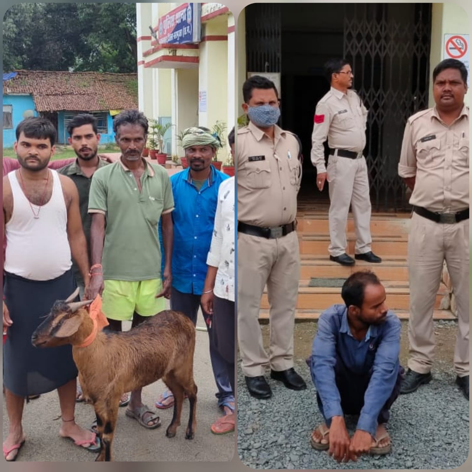 सरगुजा पुलिस की बड़ी कामयाबी: तंदुरुस्त जवाँ खूबसूरत बकरा चोरी कर भाग रहे आरोपी को बहादुर जवानों ने पकड़ा..बकरा सकुशल बरामद.. मालिक ने दी दुआएँ सरगुजा पुलिस की बड़ी कामयाबी: तंदुरुस्त जवाँ खूबसूरत बकरा चोरी कर भाग रहे आरोपी को बहादुर जवानों ने पकड़ा..बकरा सकुशल बरामद.. मालिक ने दी दुआएँ